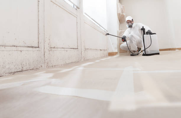 24/7 Emergency Black Mold Remediation experts in Lebanon, KY